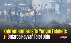Kahramanmaraş’ta Yangın Felaketi: Onlarca Hayvan Telef Oldu