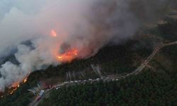 Karabük'te yeni bir yangın başladı