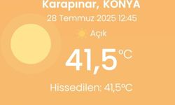 Karapınar'da Yeni Sıcaklık Rekoru: Termometreler 41.5 Dereceyi Gördü