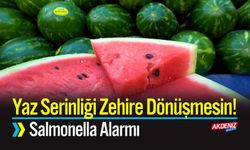 Yaz Serinliği Zehire Dönüşmesin! Salmonella Alarmı