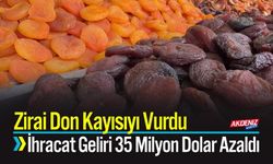 Zirai Don Kayısıyı Vurdu: İhracat Geliri 35 Milyon Dolar Azaldı