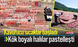 Kavurucu Sıcaklar Başladı Kök Boyalı Halılar Pastelleşti