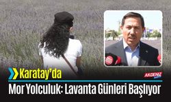 Karatay’da Mor Yolculuk: Lavanta Günleri Başlıyor