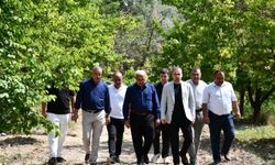 Malatya'da Kayısı Üreticisi Zor Günler Yaşıyor
