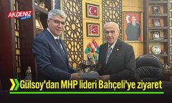Başkentte Devlet Bahçeli - Seydi Gülsoy Görüşmesi