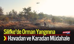Silifke'de Orman Yangınına Havadan ve Karadan Müdahale