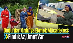 Doğu’dan Ordu’ya Ekmek Mücadelesi: Fındık Az, Umut Var