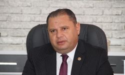 MHP’den yeni kanun teklifi: Orman yakanlara Sert Cezalar Yolda