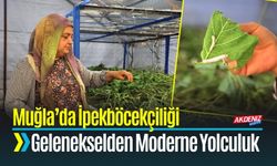 Muğla’da İpekböcekçiliği Gelenekselden Moderne Taşınıyor