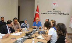 Muğla’da Taşkın Riski Değerlendirildi