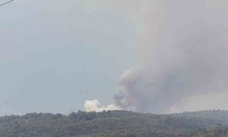 Muğla’da Yıldırım Kaynaklı Yangın Alarmı