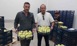 Mut Beyaz İnciri Yurt Dışına Açıldı: İlk İhracat Gerçekleşti
