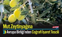 Mut Zeytinyağına Avrupa Birliği’nden Coğrafi İşaret Tescili