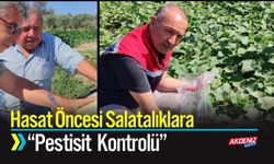 Hasat Öncesi Salatalıklara "Pestisit Kontrolü"