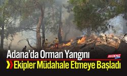 Adana'da  Orman Yangını: Ekipler Müdahale Etmeye Başladı