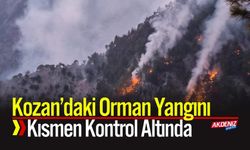 Kozan’daki orman yangını kısmen kontrol altında