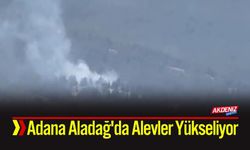 Adana Aladağ'da Alevler Yükseliyor