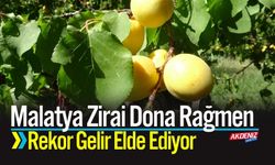 Malatya Zirai Dona Rekor Gelir Elde Ediyor
