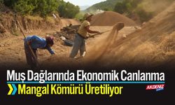 Muş Dağlarında Ekonomik Canlanma Mangal Kömürü Üretiliyor