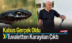 Kabus Gerçek Oldu Tuvaletten Karayılan Çıktı