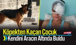 Köpekten Kaçan Çocuk Kendini Aracın Altında Buldu