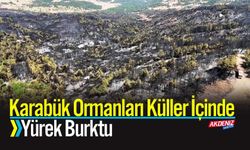 Karabük Ormanları Küller İçinde Yürek Burktu
