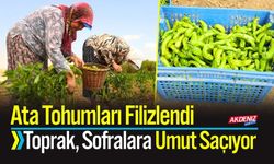 Ata Tohumları Filizlendi: Toprak, Sofralara Umut Saçıyor