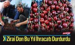 Zirai Don Bu Yıl İhracatı Durdurdu