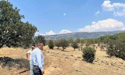Sarıgöl'de Sokak Hayvanları İçin Doğal Yaşam Alanı Projesi