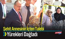 Şehit Annesinin İçten Talebi Yürekleri Dağladı