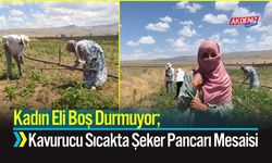 Kadın Eli Boş Durmuyor; Kavurucu Sıcakta Şeker Pancarı Mesaisi