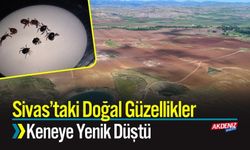 Sivas’taki Doğal Güzellikler Keneye Yenik Düştü