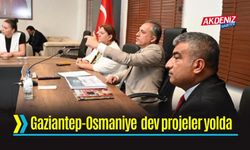 Osmaniye - Gaziantep Hattında Dev Pojeler Yolda