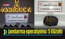 Osmaniye'de Jandarma Operasyonu: 5 Gözaltı