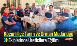 Koçarlı İlçe Tarım ve Orman Müdürlüğü Ekiplerince Üreticilere Eğitim