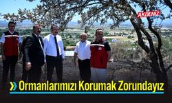 Osmaniye Valisi Yılmaz, Yangın Bölgesini İnceledi