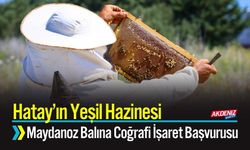 Hatay’ın Yeşil Hazinesi; Maydanoz Balına Coğrafi İşaret Başvurusu