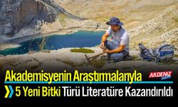 Akademisyenin Araştırmalarıyla 5 Yeni Bitki Türü Literatürde