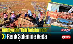 Antalya'daki "Halı Tarlalarında" Renk Şöleni Sona Erdi