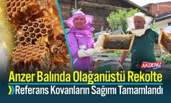 Anzer Balında Olağanüstü Rekolte