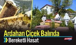 Ardahan Çiçek Balında Bereketli Hasat