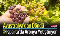Avustralya’dan Döndü, Isparta’da Aronya Yetiştiriyor
