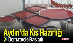 Kış Aydın'da Hazırlığı Domatesle Başladı