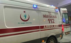 Aydın’da Domuz Sandığı Komşusunu Vurdu