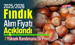 2025 Fındık Alım Fiyatları Açıklandı: İşte Fiyatlar...