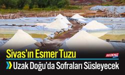 Sivas’ın Esmer Tuzu Uzak Doğu’da Sofraları Süsleyecek