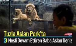 Tuzla Aslan Park’ta Nesli Devam Ettiren Baba Aslan Deniz