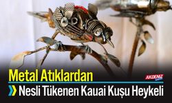 Metal Atıklardan Nesli Tükenen Kauai Kuşu Heykeli