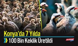 Konya'da 7 Yılda 100 Bin Keklik Üretildi