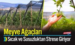 Meyve Ağaçları Sıcak ve Susuzluktan Strese Giriyor
